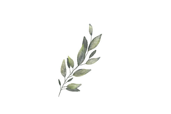 Olive Branch Watercolor: An Embroidery Design Review