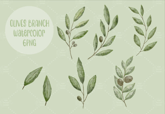 Olive Branch Watercolor L 6 Png Files: Graphic Templates