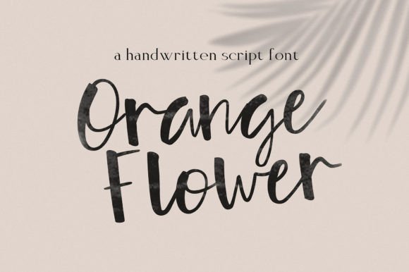 Orange Flower: Script Amp Asset for Local Branding